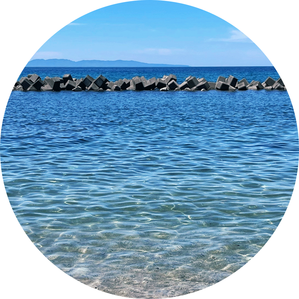 新潟市のカウンセリングルームswan heartのカウンセリング場所-海